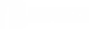 Brooklyn Chamber of Commerce logo